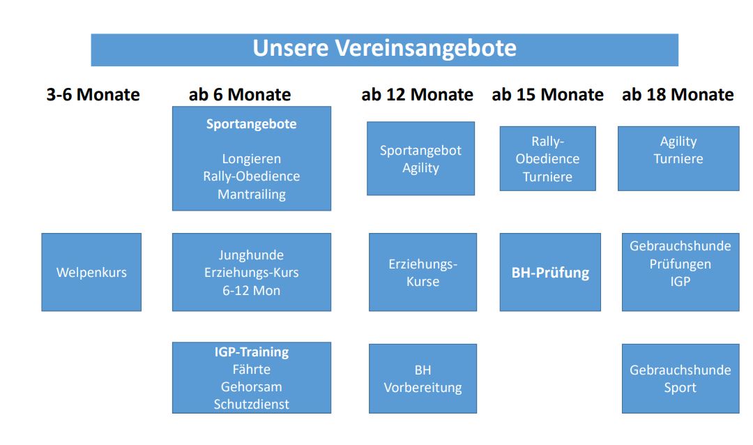 Vereinsangebote Endfassung 6 21