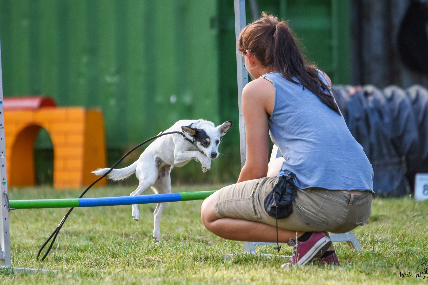 agility hobbygruppe