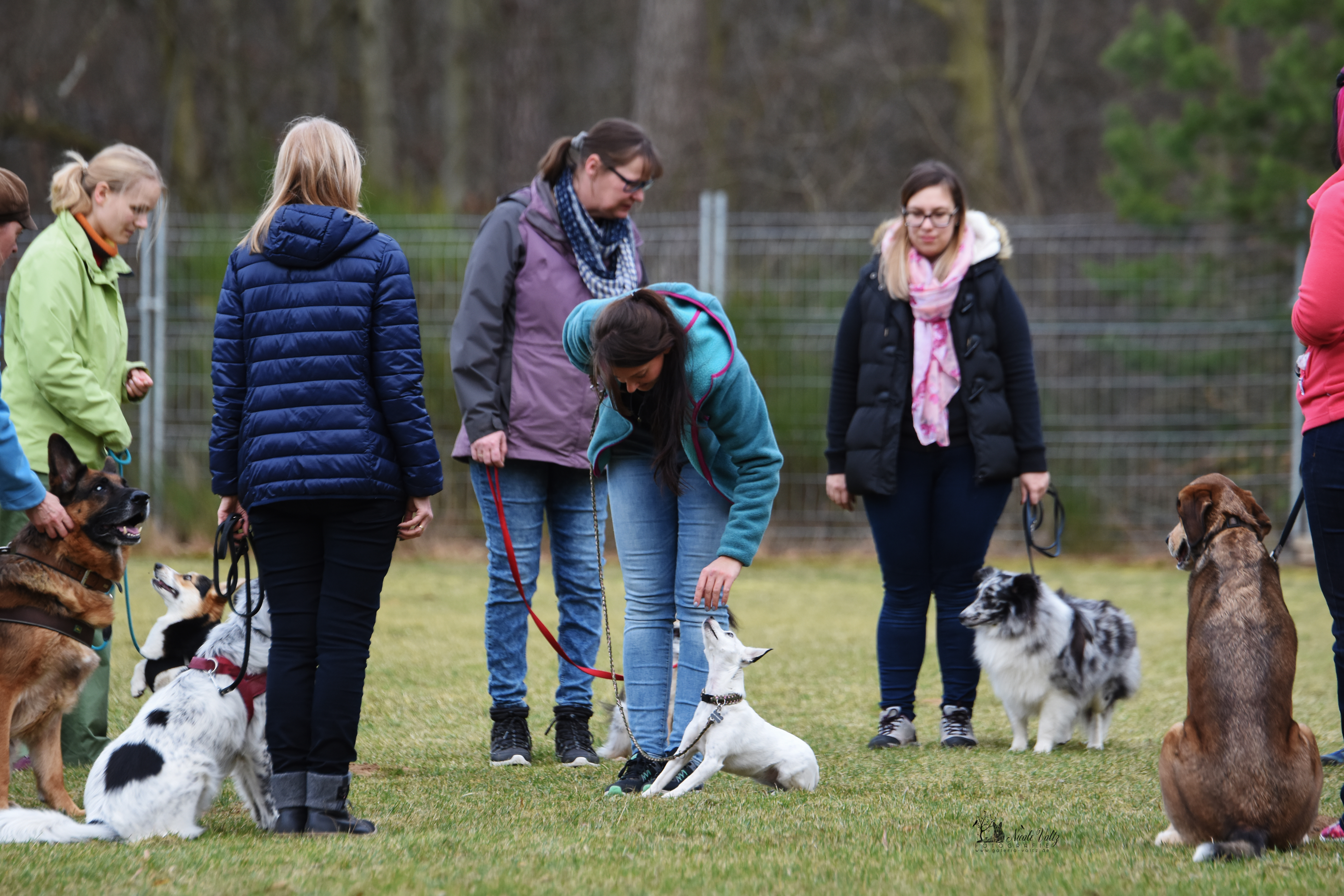 erziehungs und gruppenstunde I