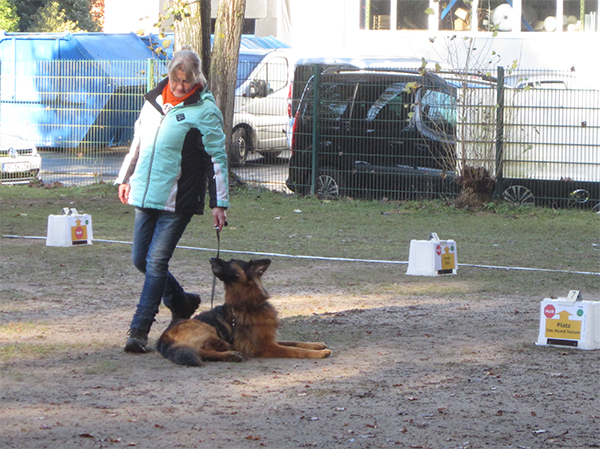 20161106 Rally Obidience Turnier Annette Ewen
