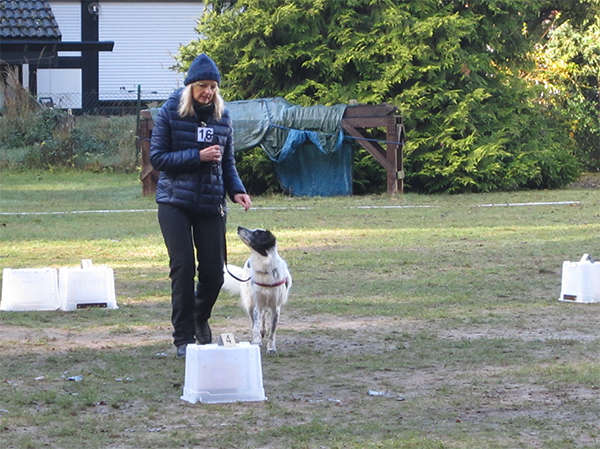 20161106 Rally Obidience Turnier Christine Vogt