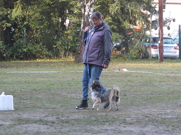 20161106 Rally Obidience Turnier Kerstin Triemel