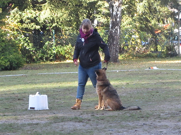 20161106 Rally Obidience Turnier Viktoria Armbruester