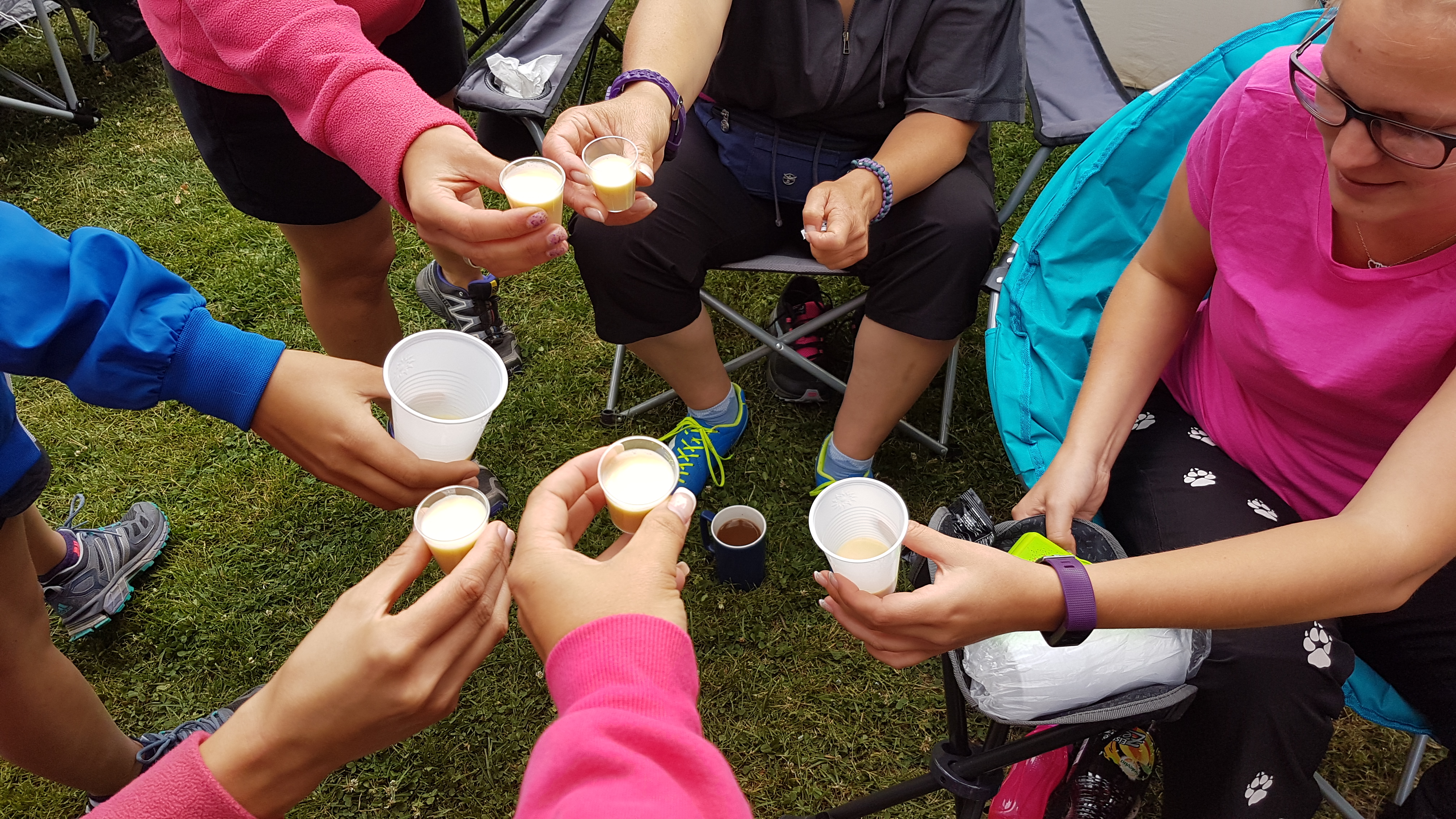 dvm dritter quali lauf schnaps