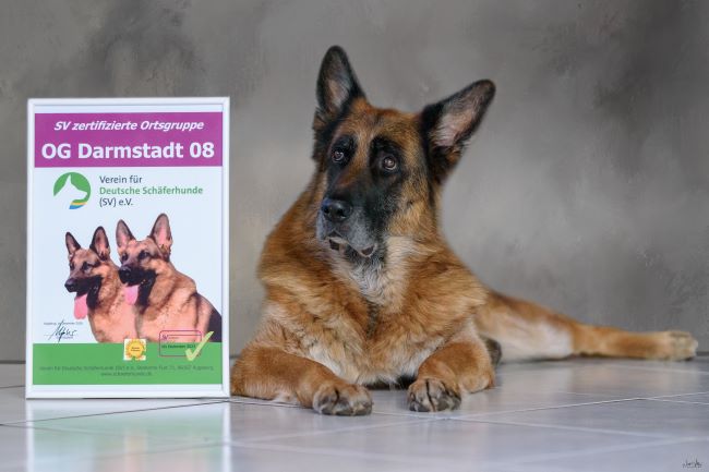 Zertifizierung 2 21 1