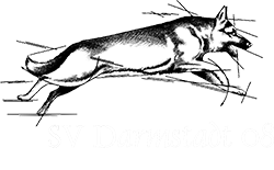 SV OG Darmstadt08