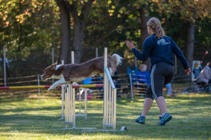 Ergebnisse vom Agility Herbst-Turnier am 09.10.2022