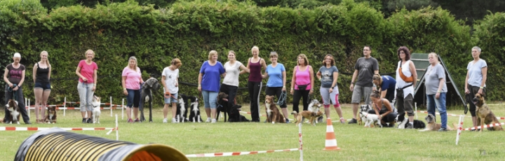 Gelungenes Sommer-Longierturnier am 03. Juni 2017