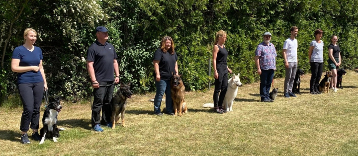 Unsere Hundesportler auf Erfolgskurs