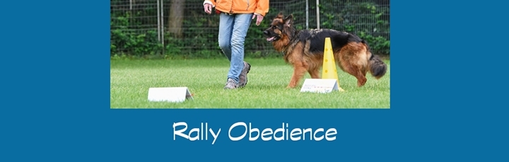 Einladung zum offen Rally Obedience Turnier am 14.10.2018