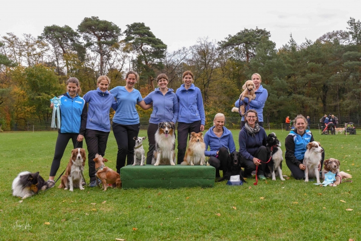 Agility Herbstturnier 20.10.2019, Ergebnislisten