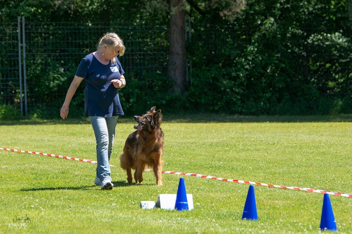 Ergebnislisten und Impressionen von unserem Rally Obedience Turnier am 02.06.2019