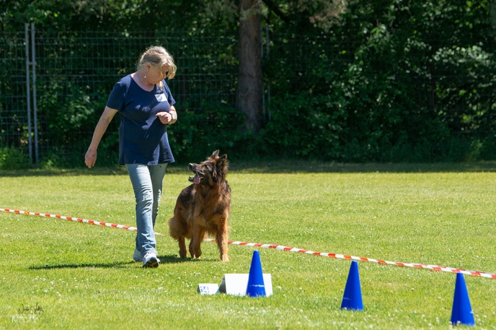 Ergebnislisten und Impressionen von unserem Rally Obedience Turnier am 02.06.2019