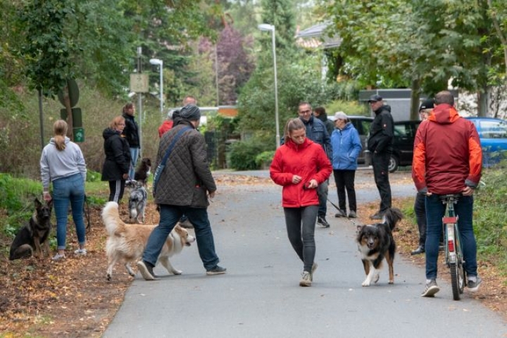 Bericht von unserem Prüfungs-Sonntag 04.10.2020