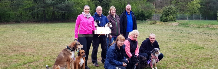 Agility-Intensivtraining am Oster-Wochenende