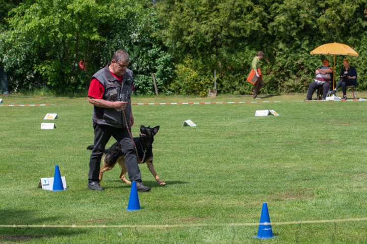 Rally Obedience findet großen Anklang, 5. Turnier mit  toller Meldezahl!