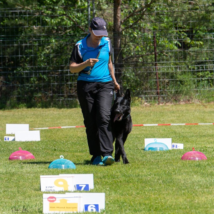 RO Beitragsbild Silvia 2019Qu