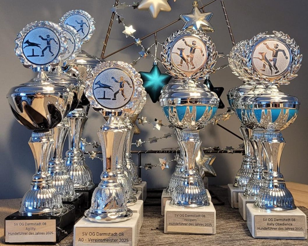 2025 Jahresabschluss V2