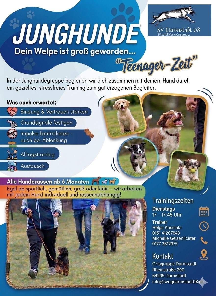 0cff62a6 c861 486e 9405 5a6bc842fb30