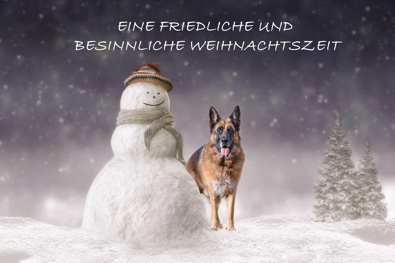 Lennox Weihnachtszeit 2025